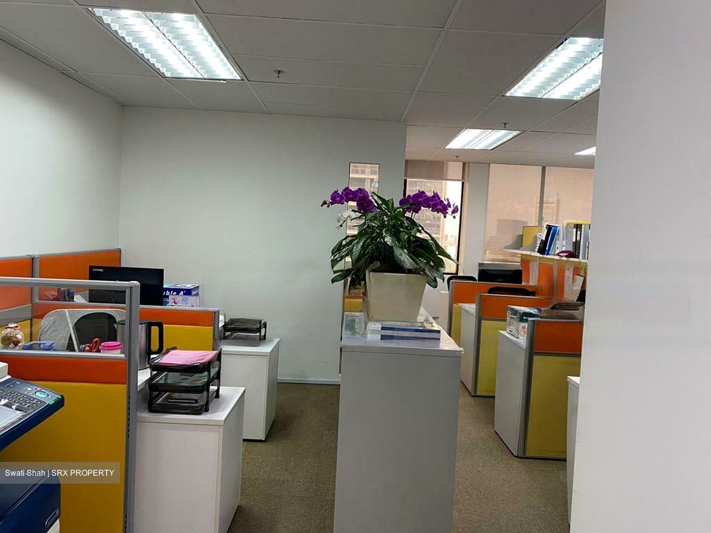 International Plaza (D2), Office #527409791